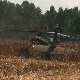 Black Hawk a kukoricásban