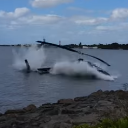 Bell 206 baleset Pearl Harbour-nál